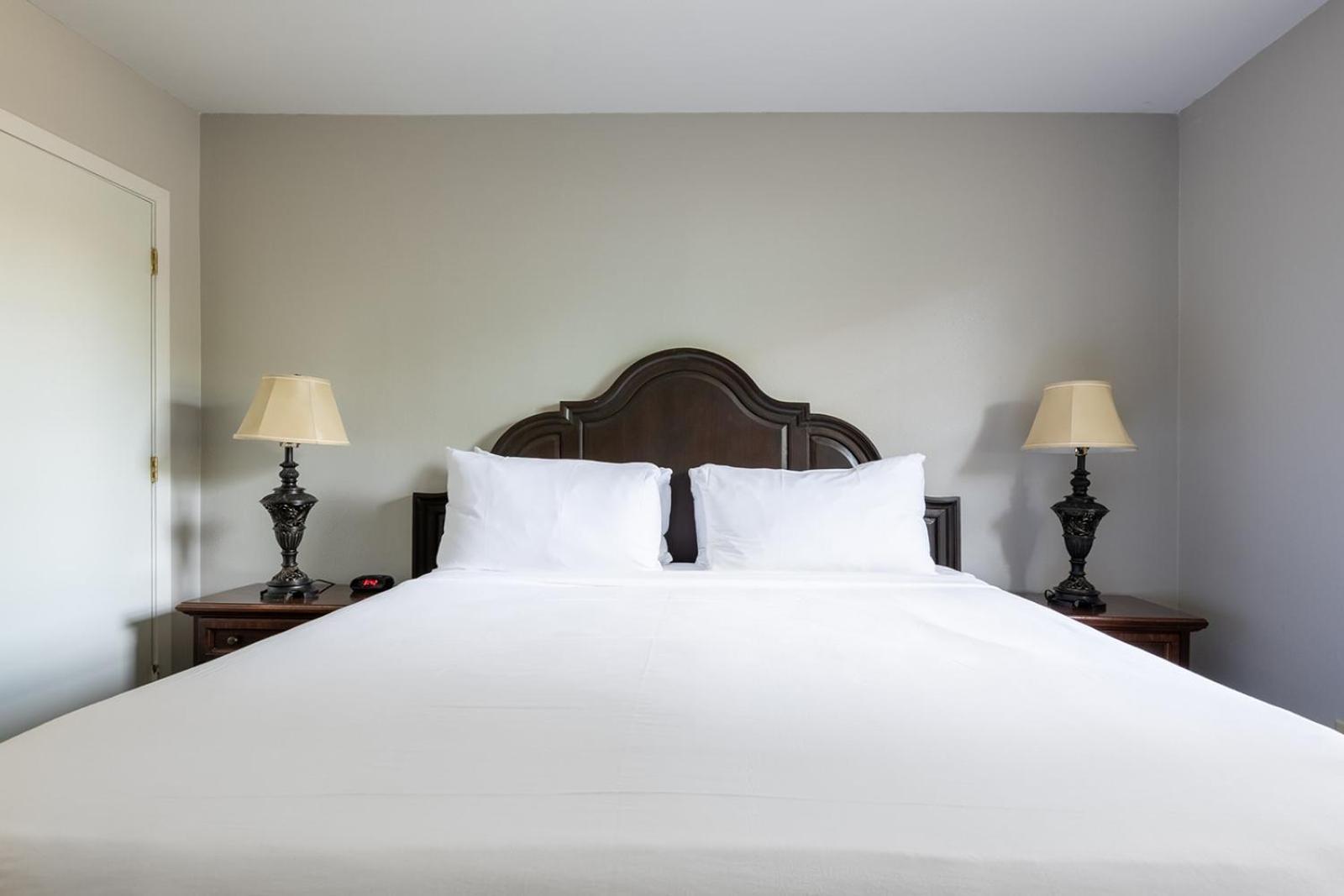 French Quarter Suites Hotel Νέα Ορλεάνη Εξωτερικό φωτογραφία